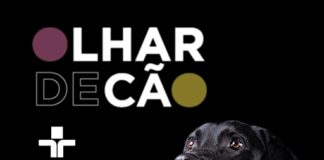 Documentário Olhar de Cão traz entrevista com Thays Martinez, ativista pelos direitos da pessoa com deficiência