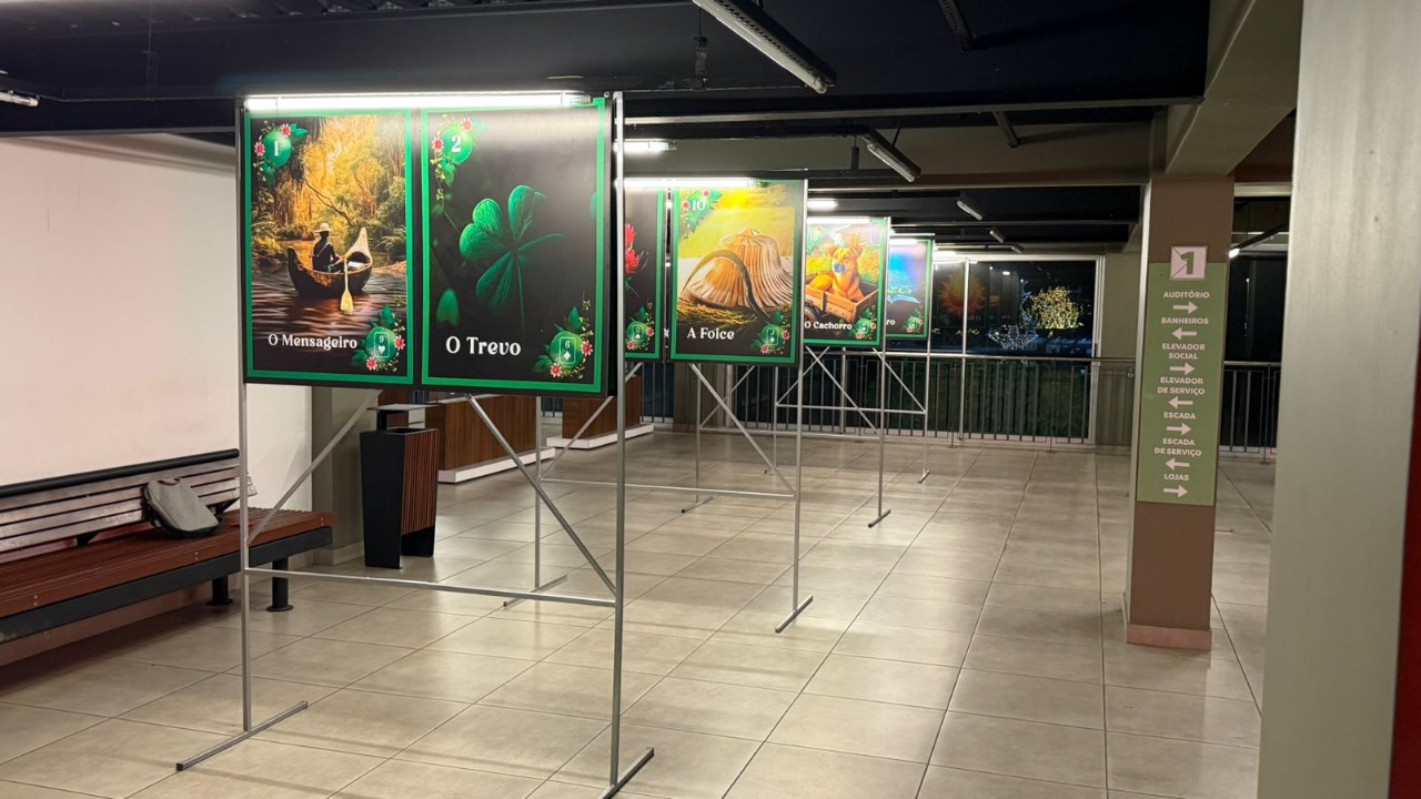 Exposição “Baralho Cigano Amazônia” revela força simbólica da floresta em Manaus