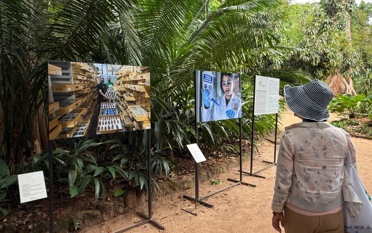 Bosque da Ciência abre 2026 com exposição fotográfica sobre a Amazônia