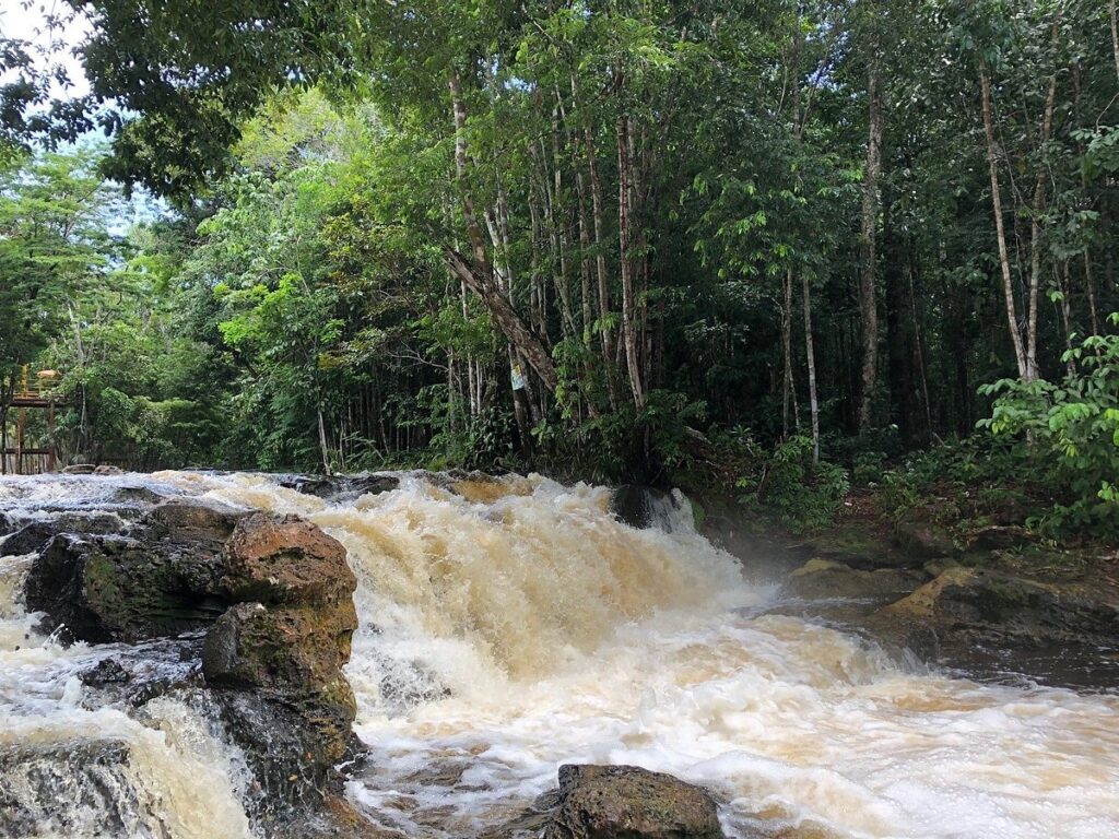 Sesc Amazonas lança agenda de passeios em cachoeiras e flutuantes em 2026