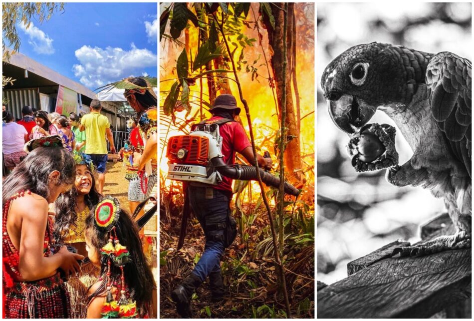 Fotojornalista manauara estreia exposições no Brasil e na França