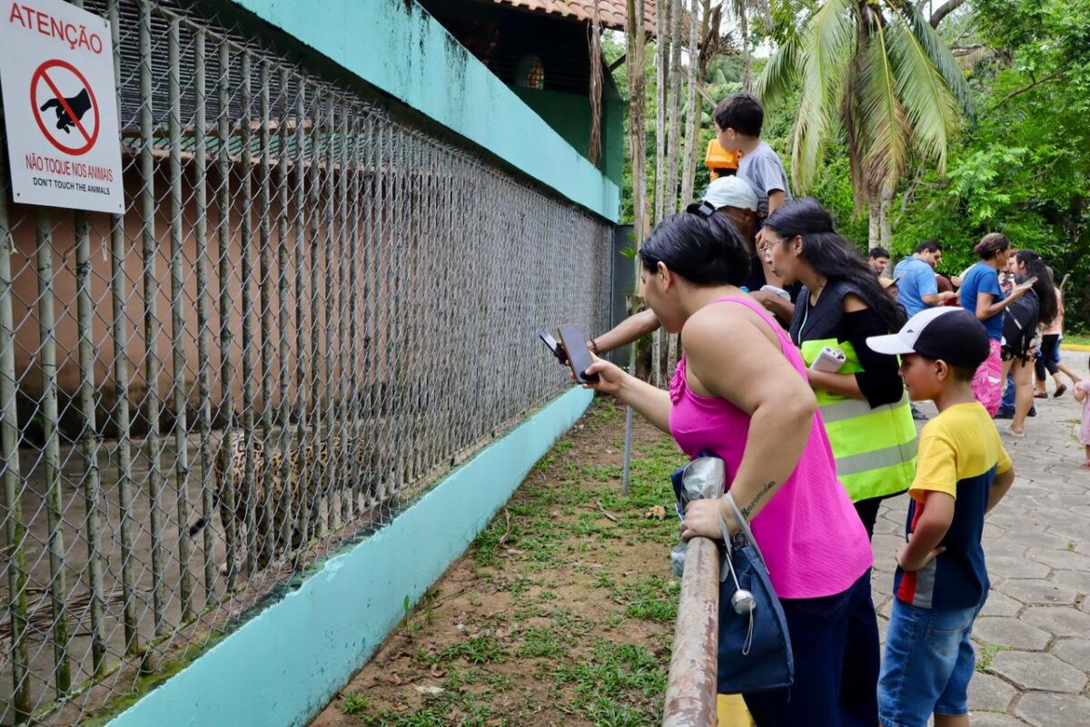 CIGS fecha zoológico em Manaus para manutenção e reabre dia 31 com atrações interativas