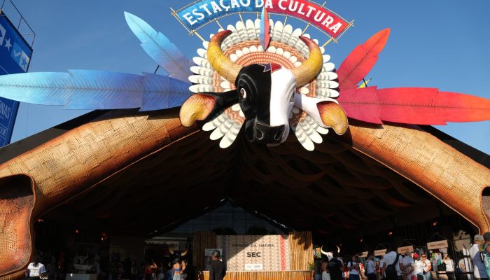 Intercâmbio artístico e arte urbana ganham força em Parintins